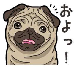 Daily Pug sticker #13702573