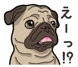 Daily Pug sticker #13702575