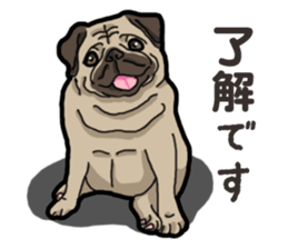 Daily Pug sticker #13702576