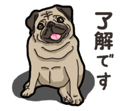 Daily Pug sticker #13702576