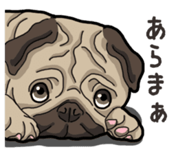 Daily Pug sticker #13702583