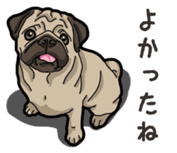 Daily Pug sticker #13702585