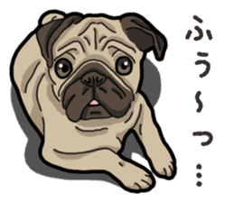 Daily Pug sticker #13702586