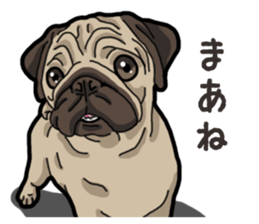 Daily Pug sticker #13702587