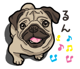 Daily Pug sticker #13702589