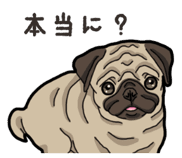 Daily Pug sticker #13702591