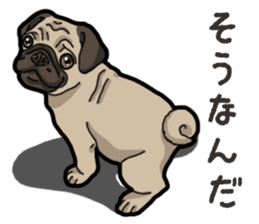 Daily Pug sticker #13702593