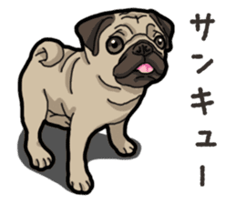 Daily Pug sticker #13702594