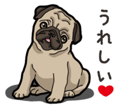 Daily Pug sticker #13702597