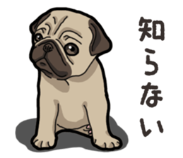 Daily Pug sticker #13702600