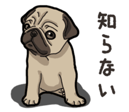 Daily Pug sticker #13702600