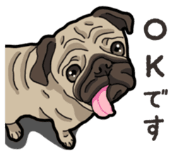 Daily Pug sticker #13702603