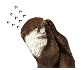 Easy to use!otter sticker #13703170