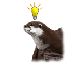 Easy to use!otter sticker #13703172