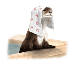 Easy to use!otter sticker #13703173
