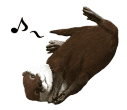 Easy to use!otter sticker #13703174
