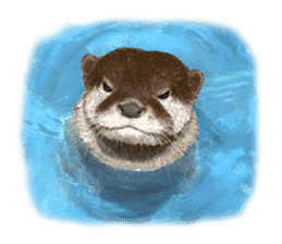 Easy to use!otter sticker #13703178