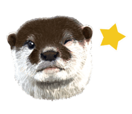 Easy to use!otter sticker #13703190