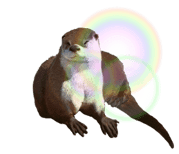 Easy to use!otter sticker #13703191