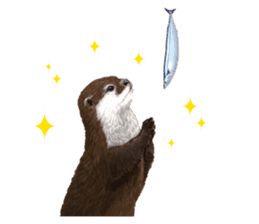 Easy to use!otter sticker #13703192