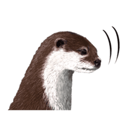Easy to use!otter sticker #13703195