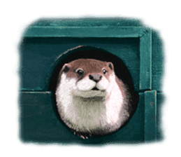 Easy to use!otter sticker #13703197