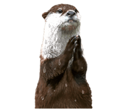 Easy to use!otter sticker #13703198