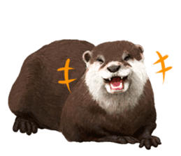 Easy to use!otter sticker #13703203