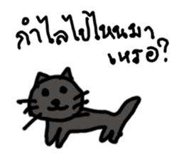 cat cat by linen sticker #13703873