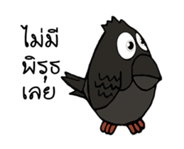 Bird lovers sticker #13705384