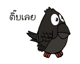 Bird lovers sticker #13705386