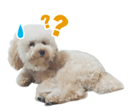 Mogu Mogu Vol.1 sticker #13706784