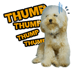 Mogu Mogu Vol.1 sticker #13706786