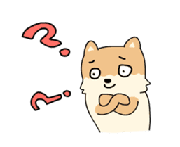 Cute Pomeranian Animation Vol02 sticker #13707794