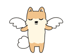 Cute Pomeranian Animation Vol02 sticker #13707796