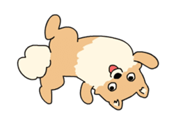 Cute Pomeranian Animation Vol02 sticker #13707802