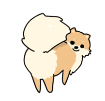 Cute Pomeranian Animation Vol02 sticker #13707804