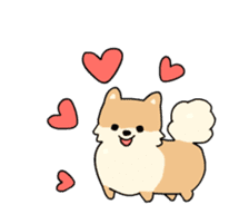 Cute Pomeranian Animation Vol02 sticker #13707805