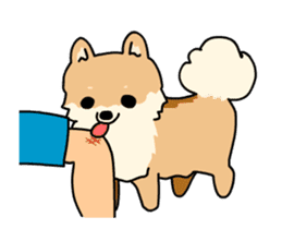 Cute Pomeranian Animation Vol02 sticker #13707807
