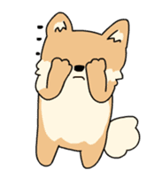 Cute Pomeranian Animation Vol02 sticker #13707808