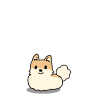 Cute Pomeranian Animation Vol02 sticker #13707809