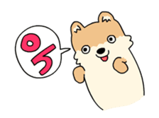 Cute Pomeranian Animation Vol02 sticker #13707810