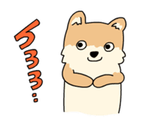 Cute Pomeranian Animation Vol02 sticker #13707811