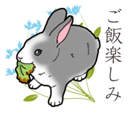 Fluffy wild rabbit 2 sticker #13707951