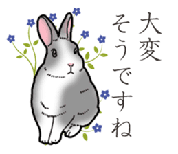 Fluffy wild rabbit 2 sticker #13707952