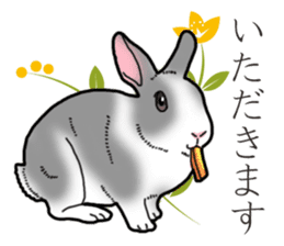 Fluffy wild rabbit 2 sticker #13707953
