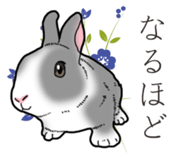 Fluffy wild rabbit 2 sticker #13707954