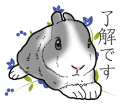 Fluffy wild rabbit 2 sticker #13707956