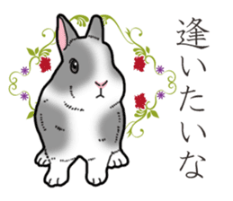 Fluffy wild rabbit 2 sticker #13707959