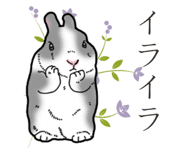 Fluffy wild rabbit 2 sticker #13707960